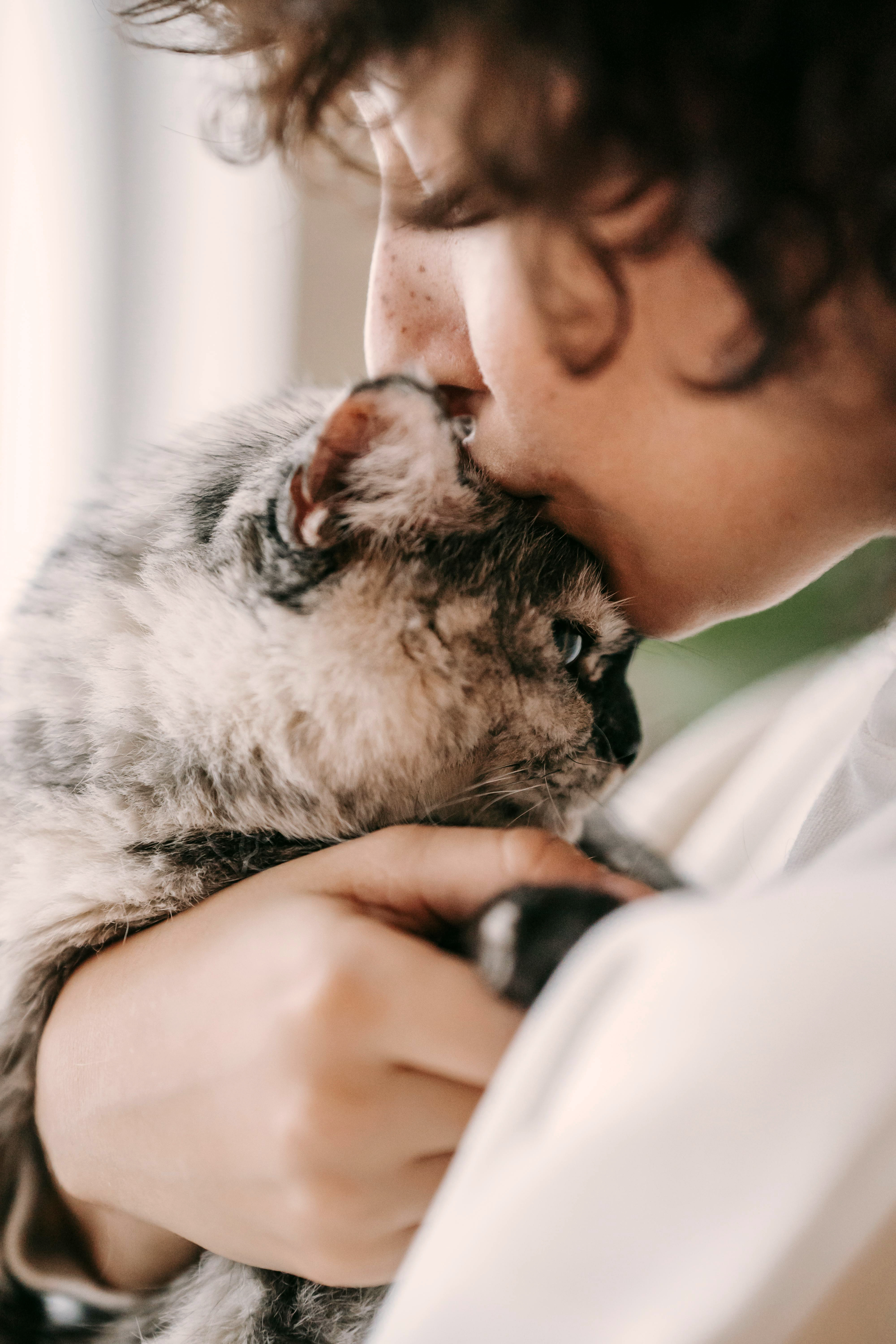 Pet owner holding and kissing her cat at home